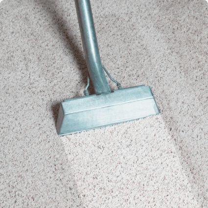 Carpet Cleaning